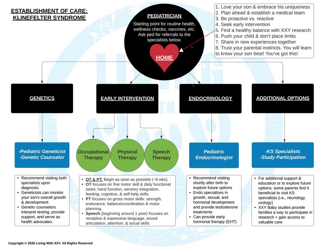 Establishment of Care: Klinefelter syndrome