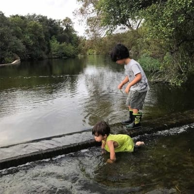 Free Forest School